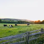 The Cow Hide