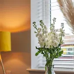 Roseland Apartment 1