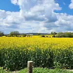 Chichester Holiday Properties - Large House Near Goodwood Events With Beautiful Gardens, Dog\'S Welcome!