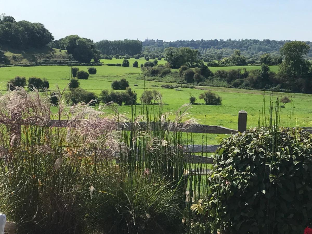 The Cow Hide Bed & Breakfast