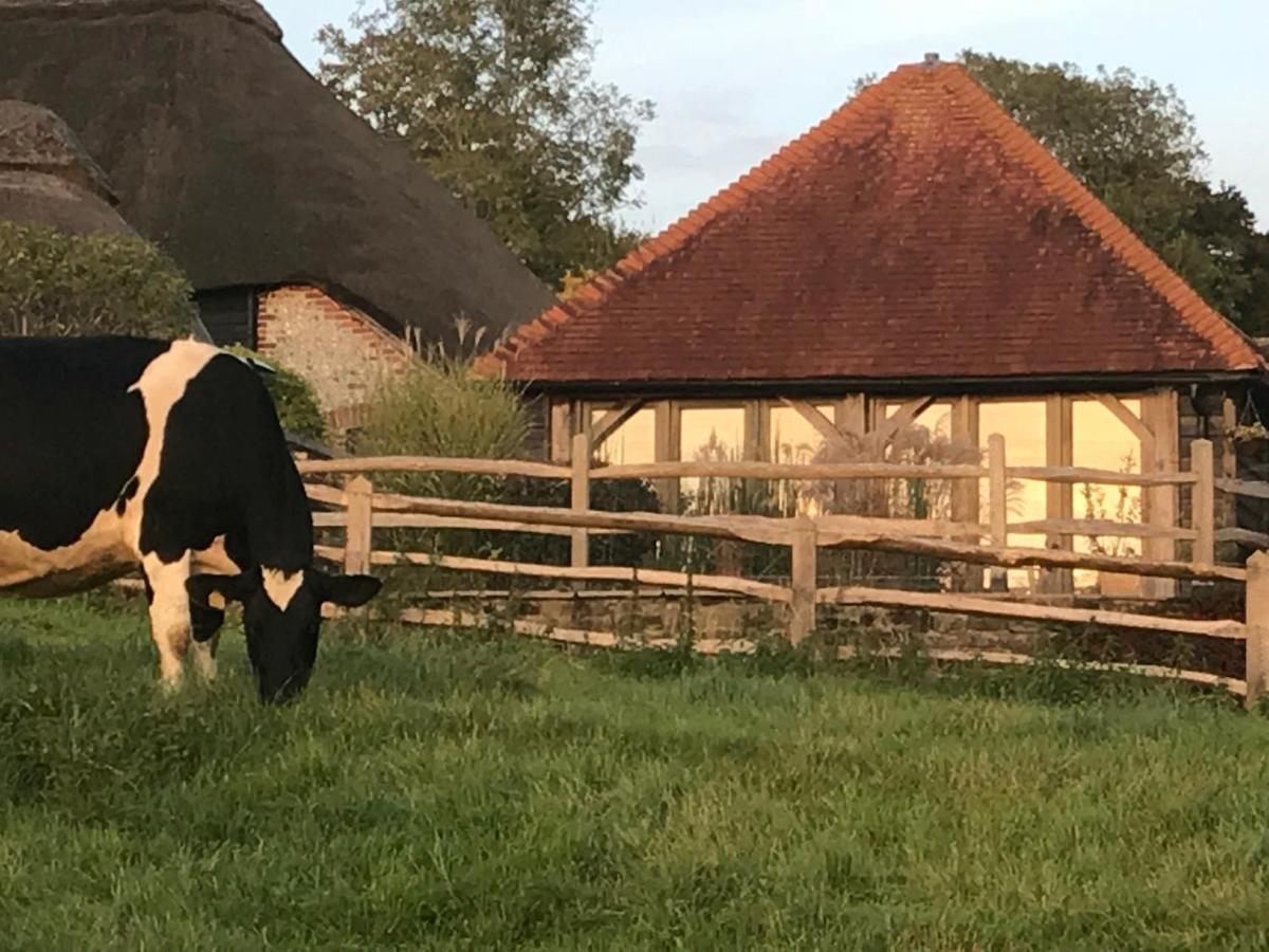 Bed & Breakfast The Cow Hide