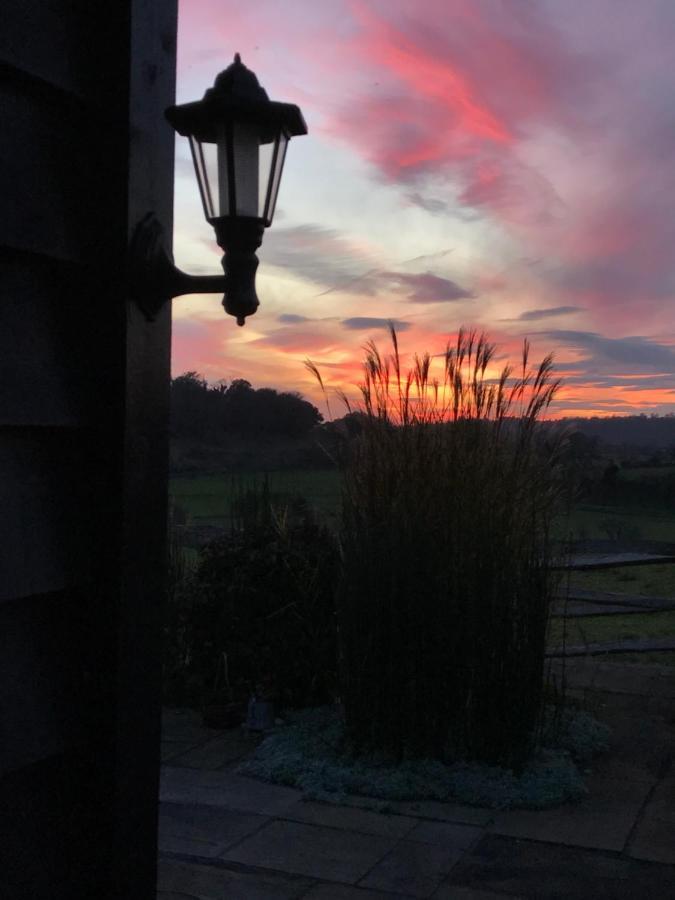 Bed & Breakfast The Cow Hide