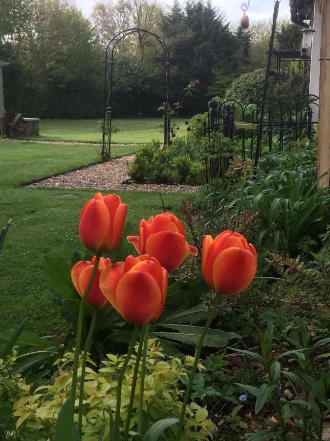 Woodacre Acomodação com café da manhã  Arundel