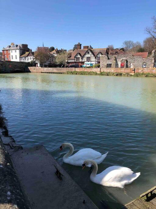 Quirky 1 Bedroom Barn On The River In Arundel