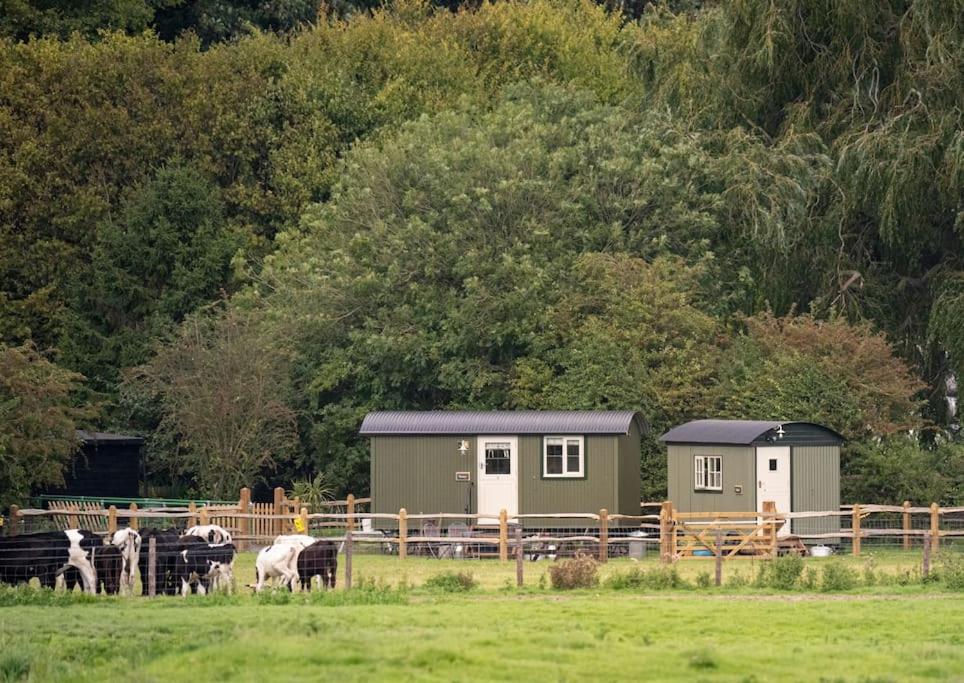 Shepherds Huts Tansy & Ethel In Rural Sussex *