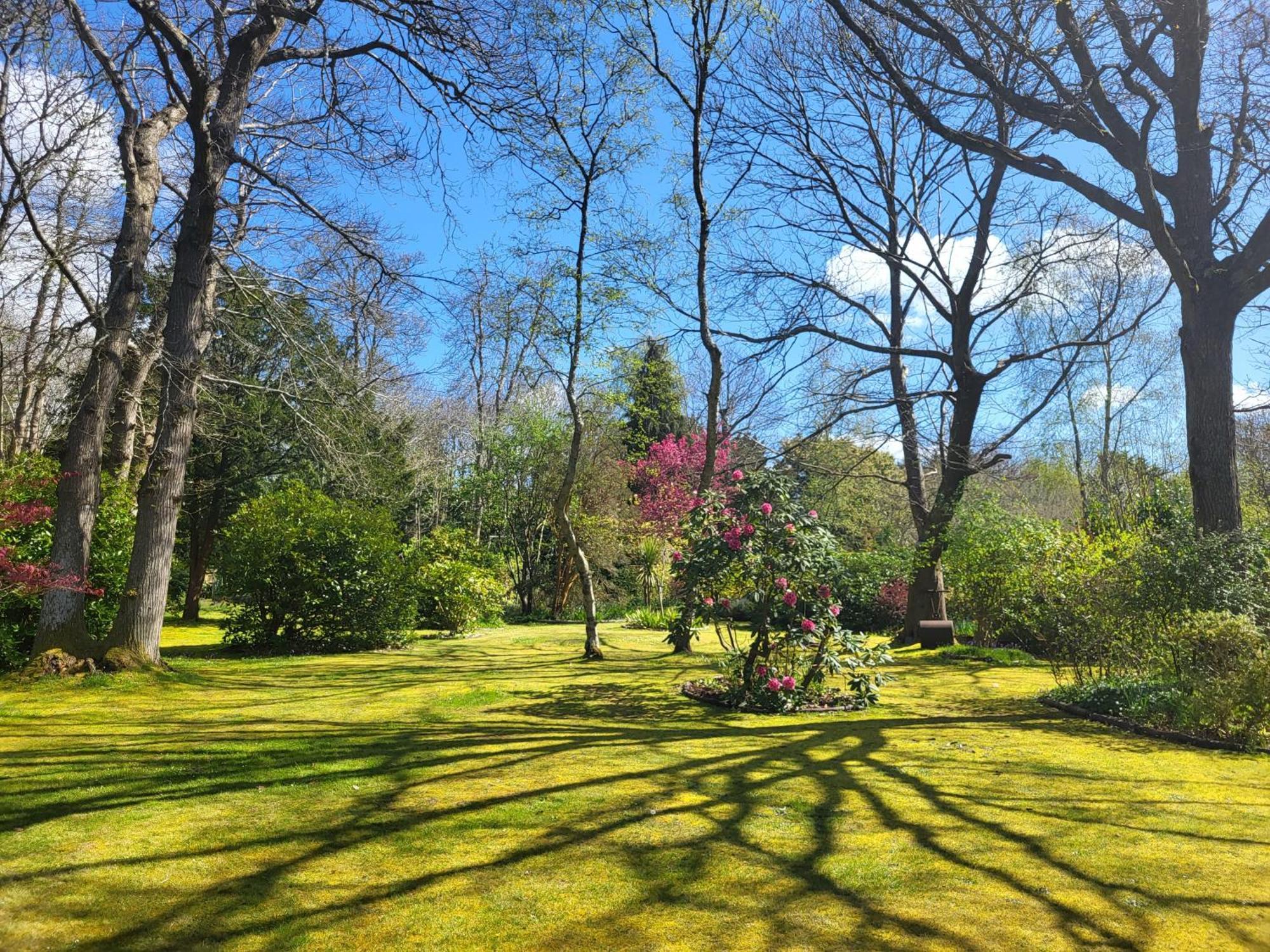 Chichester - Large House Near Goodwood Events With Beautiful Gardens, Dog's Welcome! * Arundel