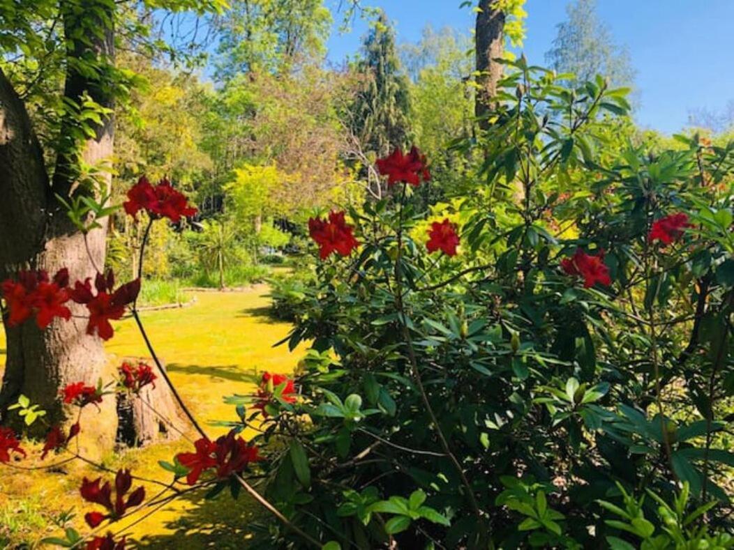 Chichester - Large House Near Goodwood Events With Beautiful Gardens, Dog's Welcome! Casa de férias Arundel