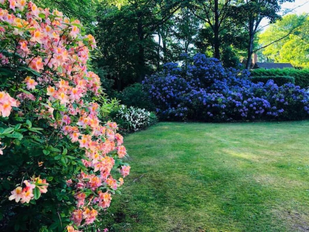 Chichester - Large House Near Goodwood Events With Beautiful Gardens, Dog's Welcome! *
