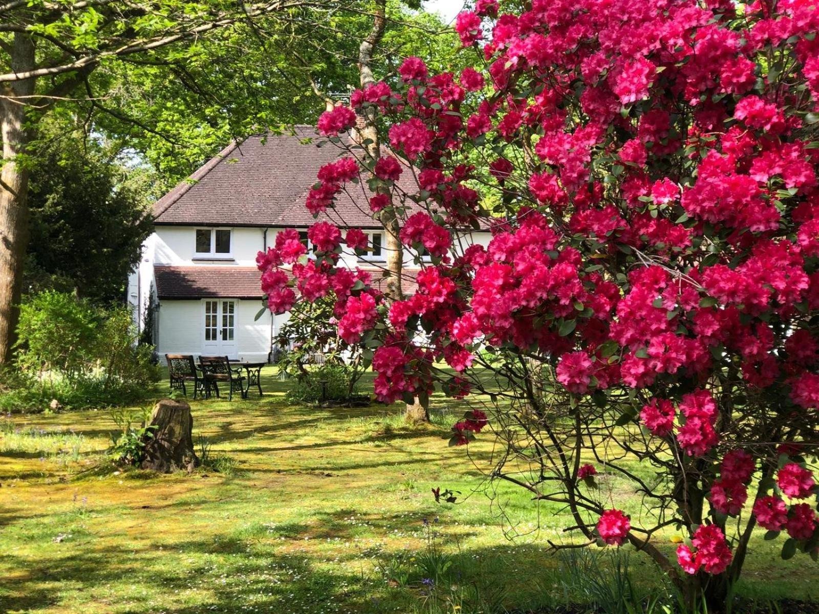 Chichester - Large House Near Goodwood Events With Beautiful Gardens, Dog's Welcome!