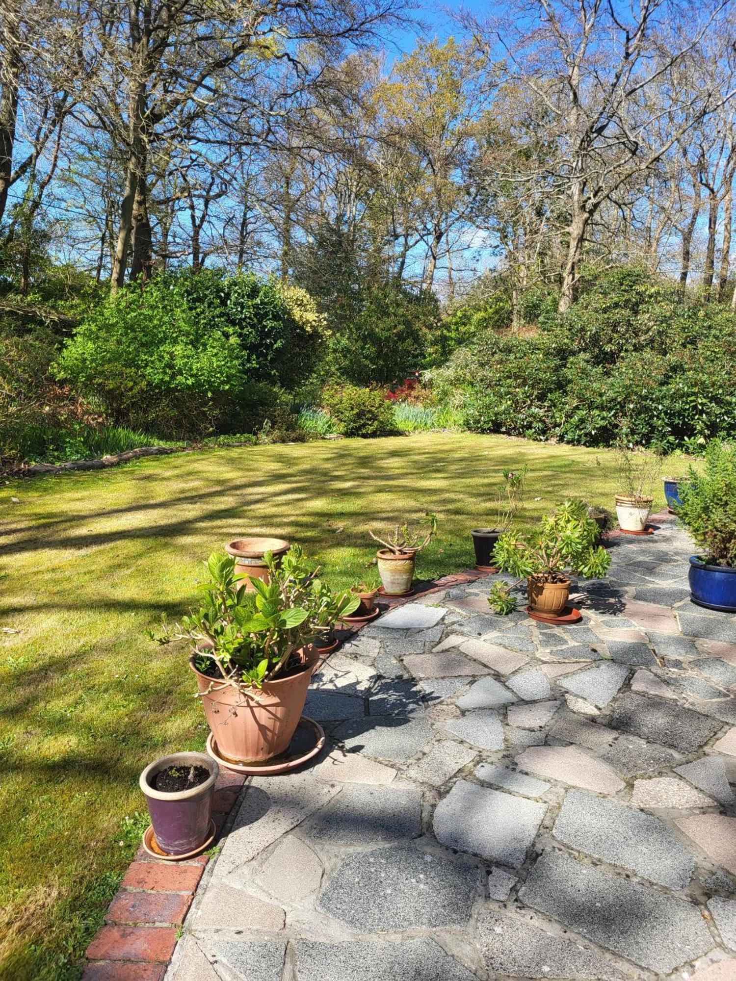 Chichester - Large House Near Goodwood Events With Beautiful Gardens, Dog's Welcome! *