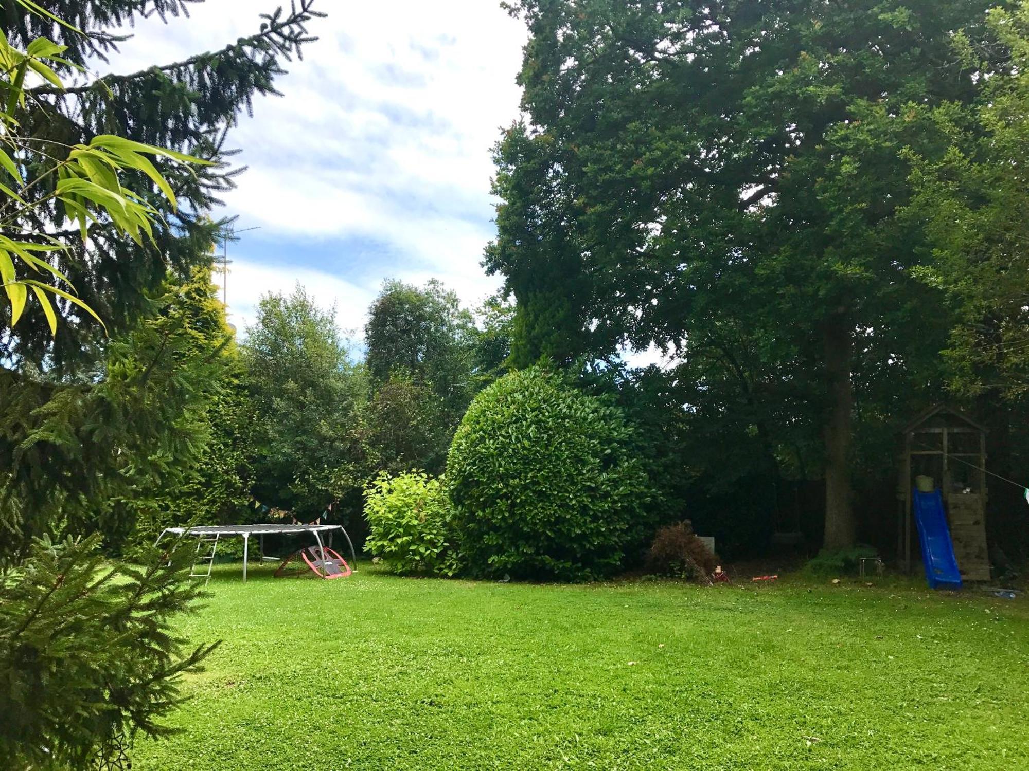 Forest House Holiday home