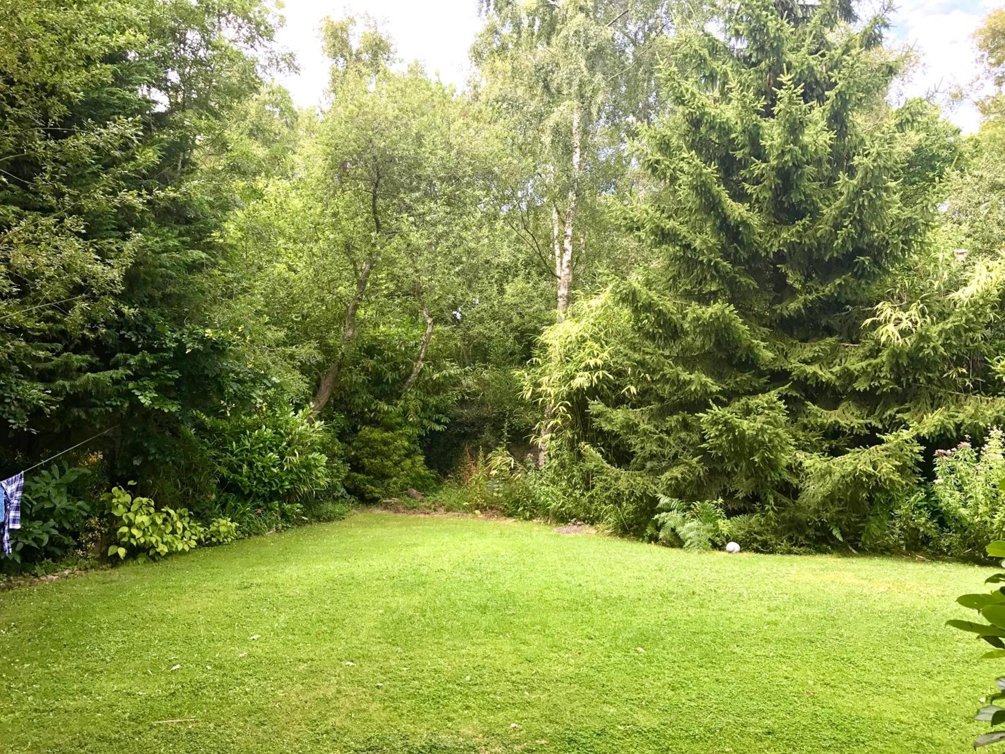 Forest House *