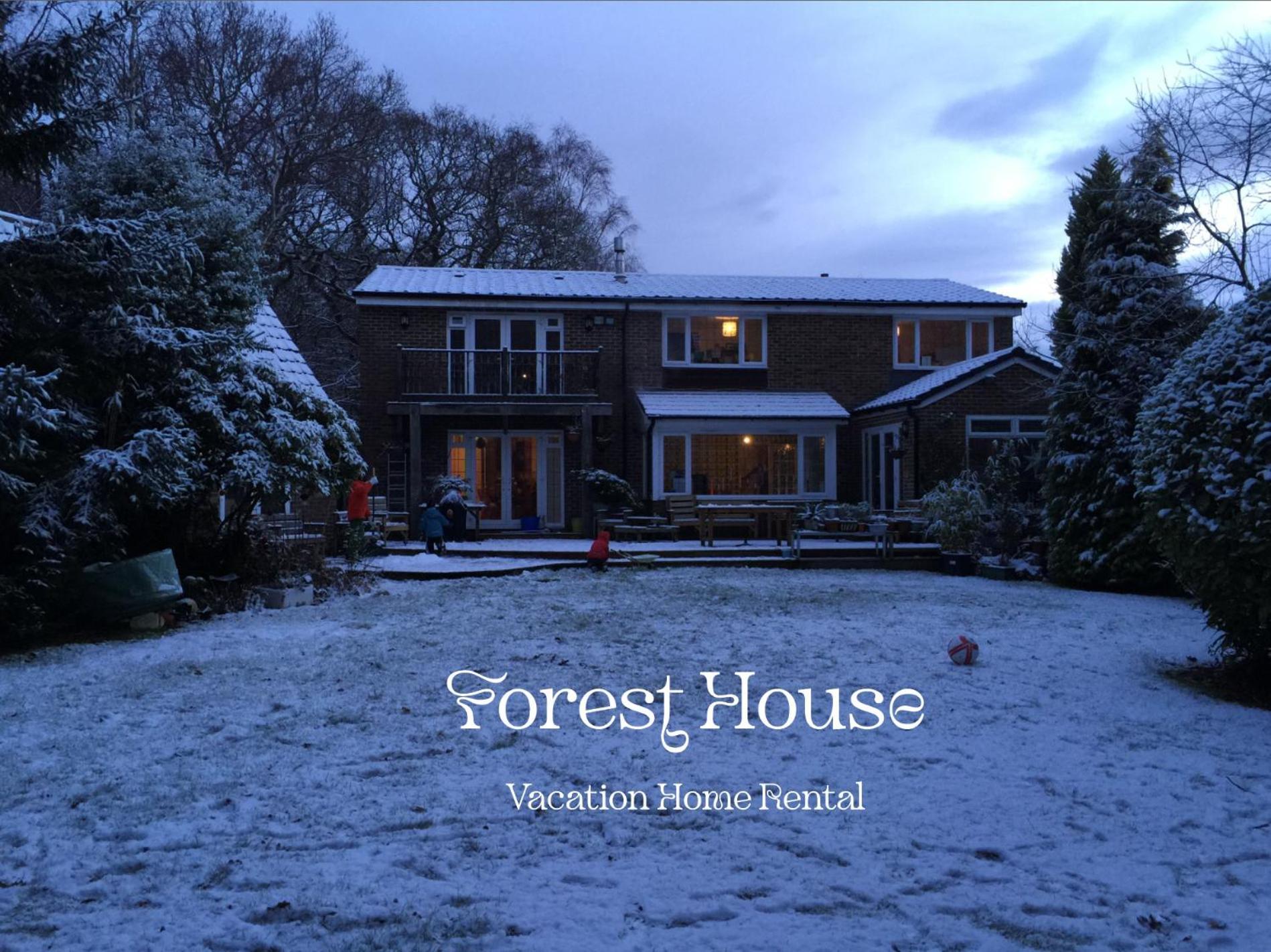 Forest House *