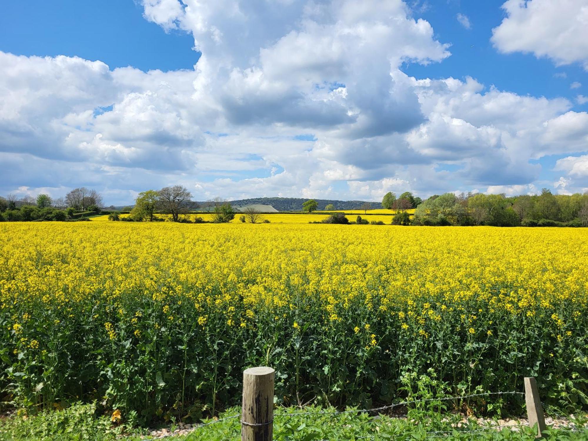Chichester - Large House Near Goodwood Events With Beautiful Gardens, Dog's Welcome! * Arundel