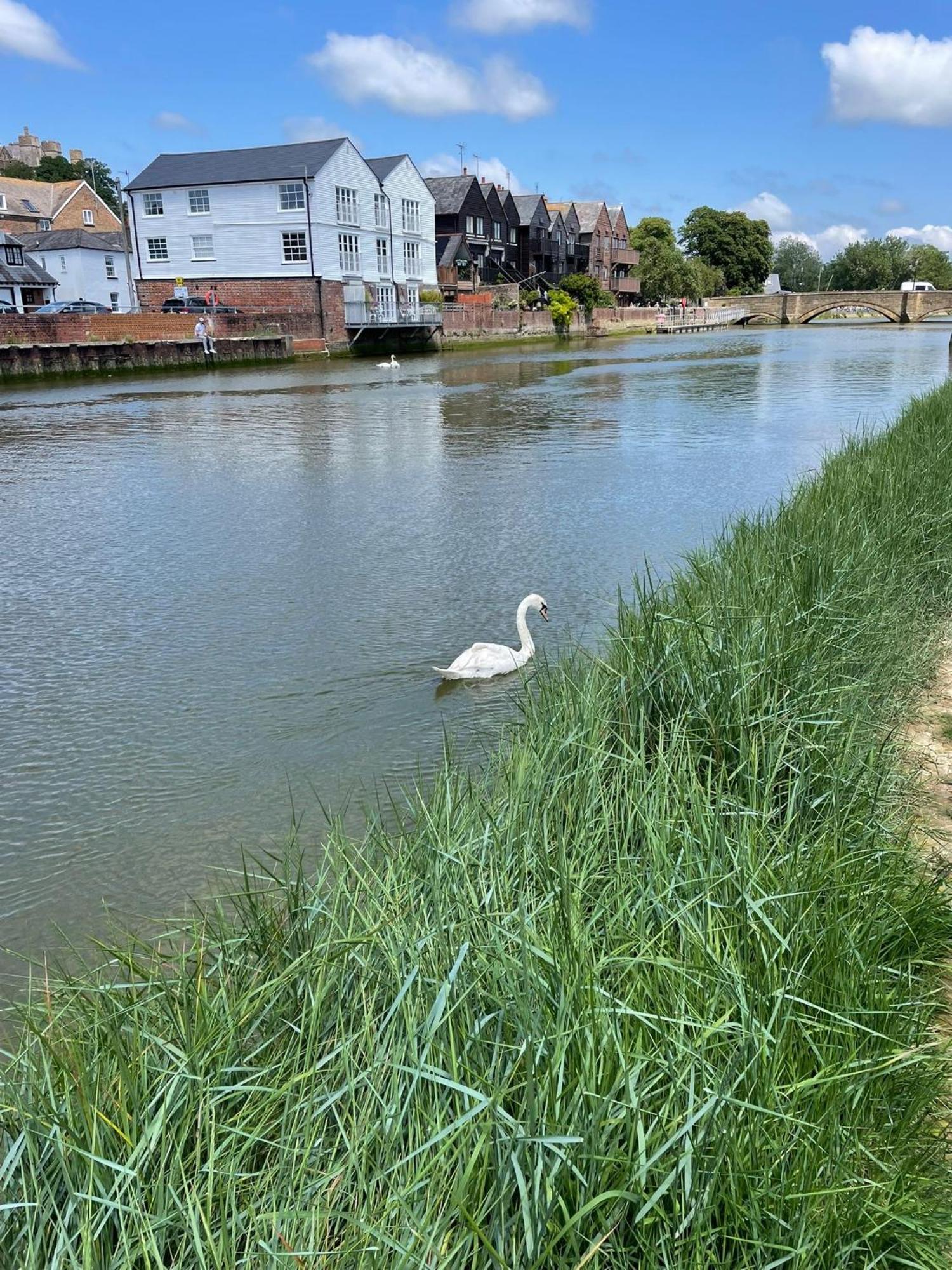 Dove Is A Central, Riverside, Charming Victorian Holiday home Arundel