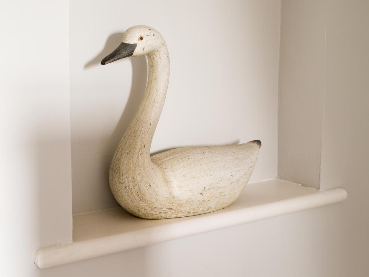Swan