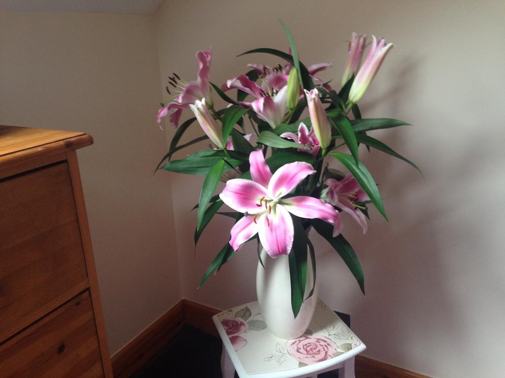 Bonnie's Boutique Bed & Breakfast 3*